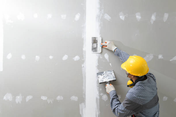 Best Biohazard Mold Removal  in Mount Vernon, TX